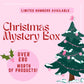 LUXURY SURPRISE CHRISTMAS BOX 2023! LIMITED NUMBERS!